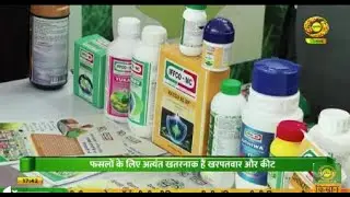 IFFCO's bio pesticides, Weedicides | DD Kisan | December 16, 2025