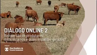 Diálogo Online 2 - Reinserção de produtores: onde estamos e quais impactos gerados?