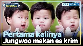 [IND/ENG] Eunwoo Sangat Sabar Meladeni Jungwoo | The Return of Superman | KBS WORLD TV 250504