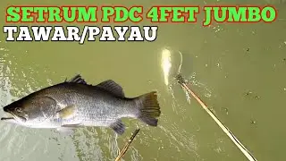 SETRUM PDC 4FET JUMBO AIR TAWAR/PAYAU