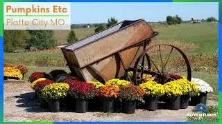 Fall Activities | Pumpkins Etc Platte City Missouri | KC Area