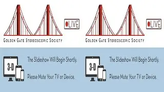 Golden Gate Stereoscopic Society Meeting Slideshow - Half-Width Side-By-Side