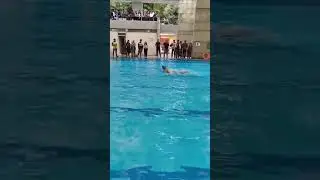 IIM K clinches 🥇 in the Men's Medley Relay in Inter-IIM 2024 🏊&zwj;♂️💪🏆 #IIMK #IIMB #IIMT #IIMV #IIMN