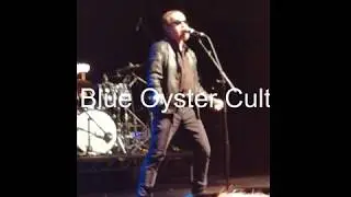 Blue Oyster Cult True Confessions Live From Manchester (Non Video)