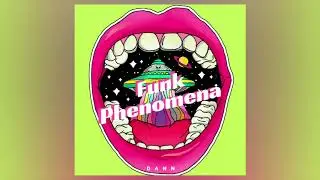 Armand van Helden - The Funk Phenomena (Dann Remix) Tech House