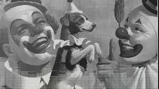 BUTTHOLE SURFERS - Human Cannonball.1987 🇺🇲