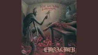 The Cellar