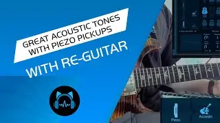 Great Acoustic Tones with Piezo Pickups and Blue Cat Audio Re-Guitar 1.3