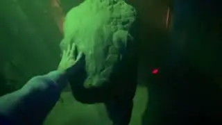 Voodoo Bayou: A Maze at Dark Harbor, on the RMS Queen Mary (October 11, 2025)