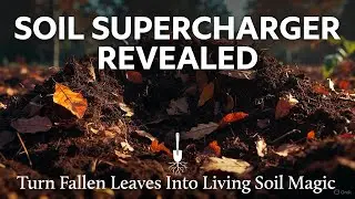 Leaf Mold Secrets 🌱 The Soil Supercharger You&rsquo;re Ignoring!
