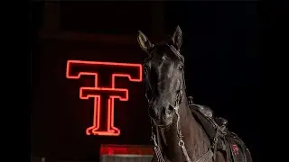 Centennial Champion to Succeed Fearless Champion