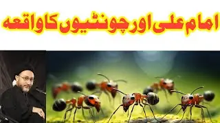 مولا امام علی علیہ السلام اور چونٹیوں کا واقعہ| Allama Shahenshah Hussain Naqvi#fikarhussain 
