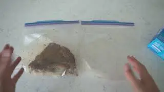 Ziploc Gallon Food Storage Freezer Bags Review (Link Below 👇)