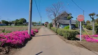 Walk around Nagareyama Interchange | Suburbs Tokyo 4K/60fps HDR