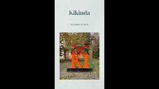 Kikinda Owls