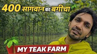सागवान के बगीचा में घूमने गए 🌳 | Teak Garden Vlog | Village Life