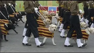 Army dogs will make an appearance in Republic Day parade