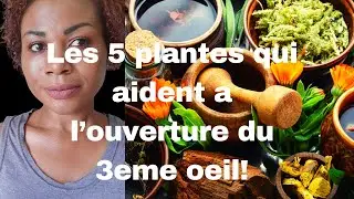Les 5 plantes qui peuvent aider a decalcifier et ouvrir le 3eme oeil!!nature #spiritualite#sante