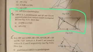 Grade 9 Quadrilaterals - Han's doubt