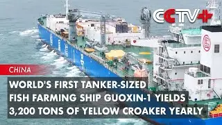 World's First Tanker-Sized Fish Farming Ship Guoxin-1 Yields 3,200 Tons of Yellow Croaker Yearly