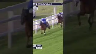 Smooth from Trawlerman! #horse #horseracing #sport #britishhorseracing #racingtv