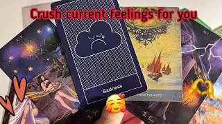 Crush Current Feelings for you❤️‍🔥 Crush current feelings | Hindi tarot | Psychic tarot reading