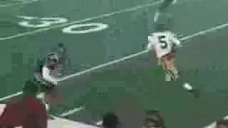 Reggie Bush Highlights