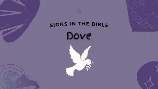 Signs in the Bible : Dove