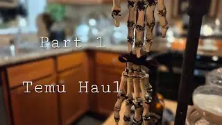 Part 1 Temu Haul Halloween Edition Plus Everyday Goodies