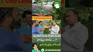 Growth in Agriculture 🌱 | Smart Farming & Sustainable Future in India