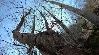 Dokumentarni film Sremu&scaron;