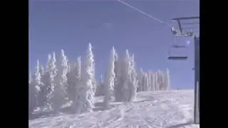 Telemark carving