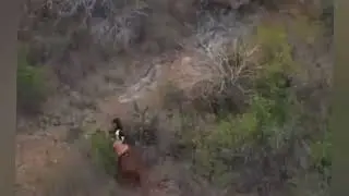 Alon zoa, mimin do gado e T&uacute;lio Duarte tirando versos de gado 🔥🎶