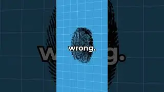Why Do We Have Fingerprints? 🤔 (Not Good)