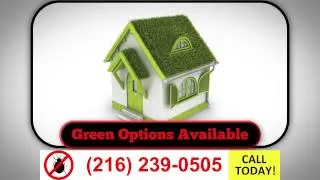 24 Hour Emergency Pest Control Cleveland Ohio | (216) 239-0505