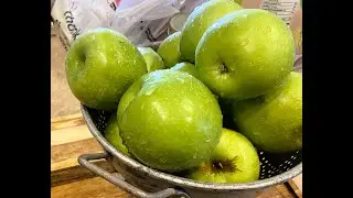 250928 Apple Annies Orchard 1