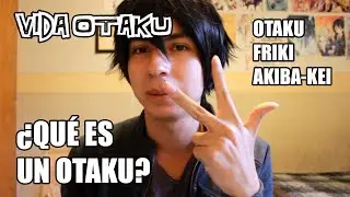 #10 &iquest;QU&Eacute; ES UN OTAKU? | Vida Otaku