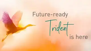 FUTURE READY TRIDENT IS HERE!