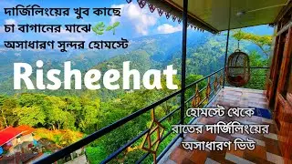 Risheehat Farmstay | Offbeat Darjeeling |  Tea Garden | Kanchenjunga view | Night view of Darjeeling