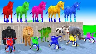 Long Slide Game With Cow Elephant Gorilla Hippopotamus Tiger 3d Animal Game Funny 3d Animals