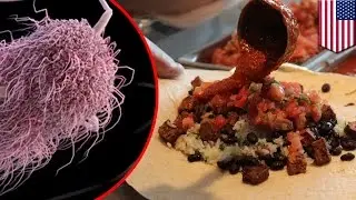 E. Coli found in Chipotle restaurants, 39 people in two states infected