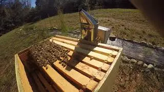 Long Hive inspection One of the last ones for 2017 10/17/17 Part 10           GOPR9874