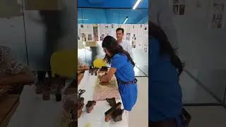 Mata Ni Pachedi Workshop | Traditional Art of Storytelling on Fabric | NIF Global Ahmedabad