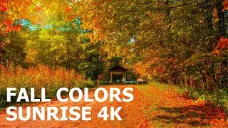 Best place to see fall colors in Ohio  2020 | Cuyahoga Valley National Park Fall Foliage #FallinOhio