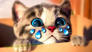 Little Kitten Preschool Adventure Education Games iOS Kids Play Fun Cute Kitten Pet Care Learn #663