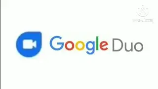 google duo