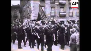 Spain's Young Soldiers.
