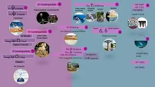 Monoceros stars system (5)