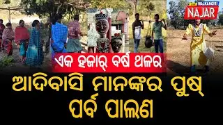 ଏକ ହଜାର ବର୍ଷ ଥଳର ଆଦିବାସି ମାନଙ୍କର ପୁଷ୍ ପର୍ବ ପାଲଣ | #kanaknews #letestnews #malkangirinews 