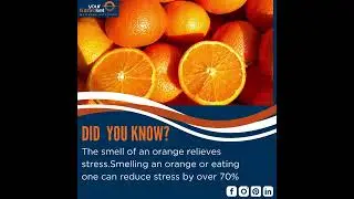 did  you know?The smell of an orange relieves stress.Smelling an orange or eating one can reduce str